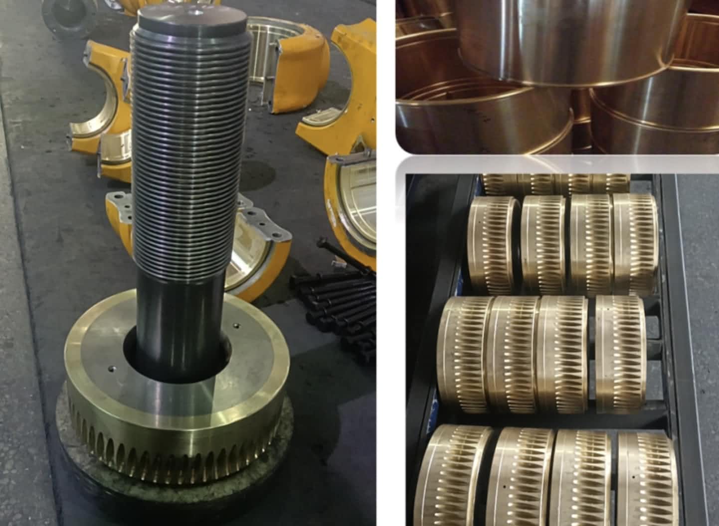 Bronze Worm Gears.